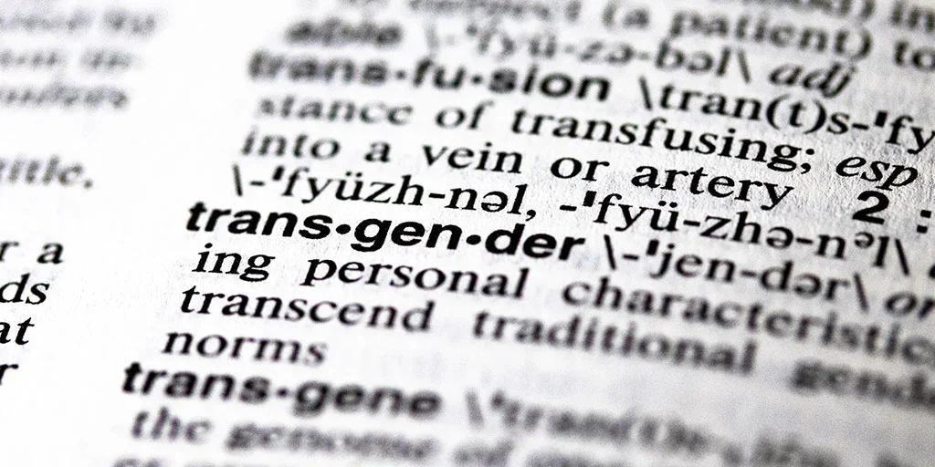 IDENTIDADE DE GÊNERO E ORIENTAÇÃO SEXUAL